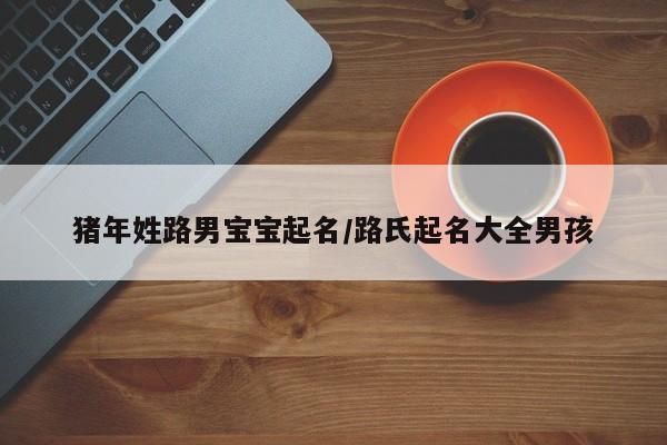 猪年姓路男宝宝起名／路氏起名大全男孩